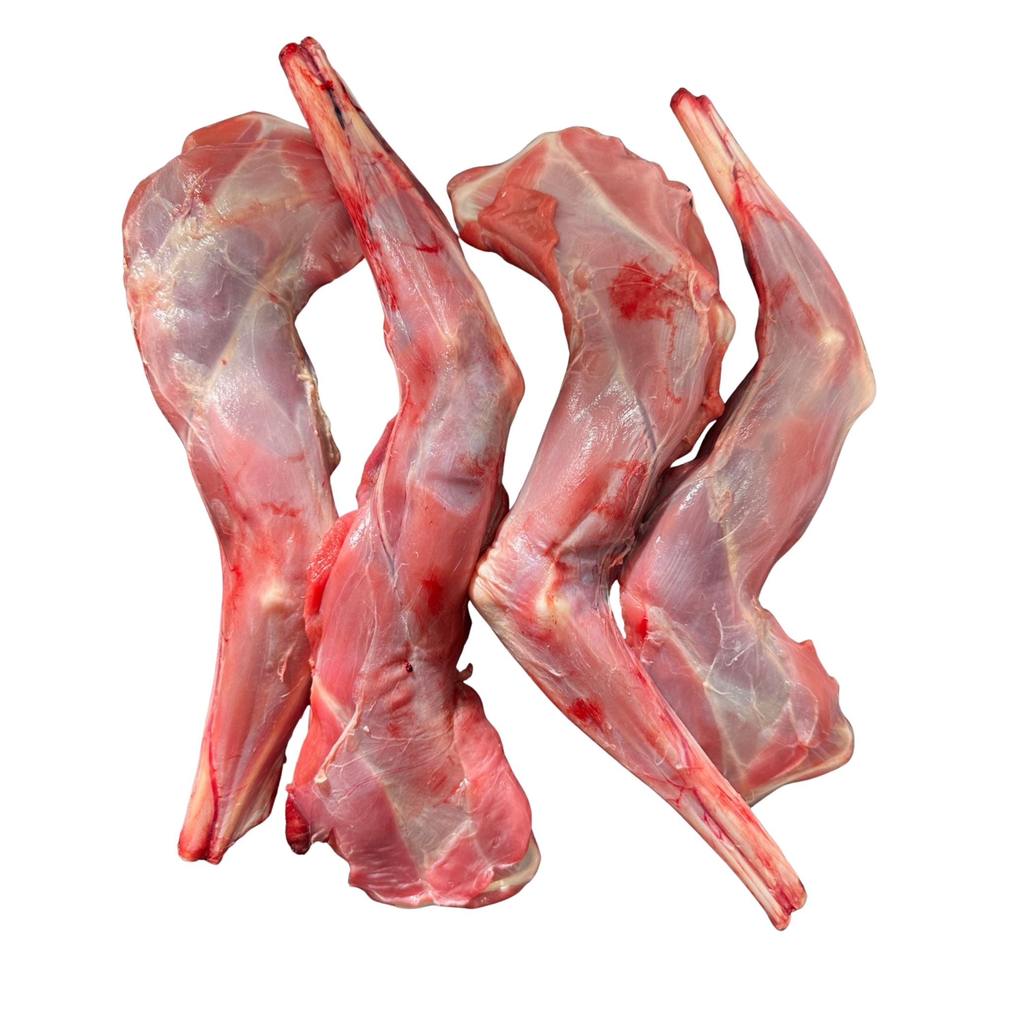 Kangaroo Paddle Bones