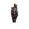 Kangaroo Sternum