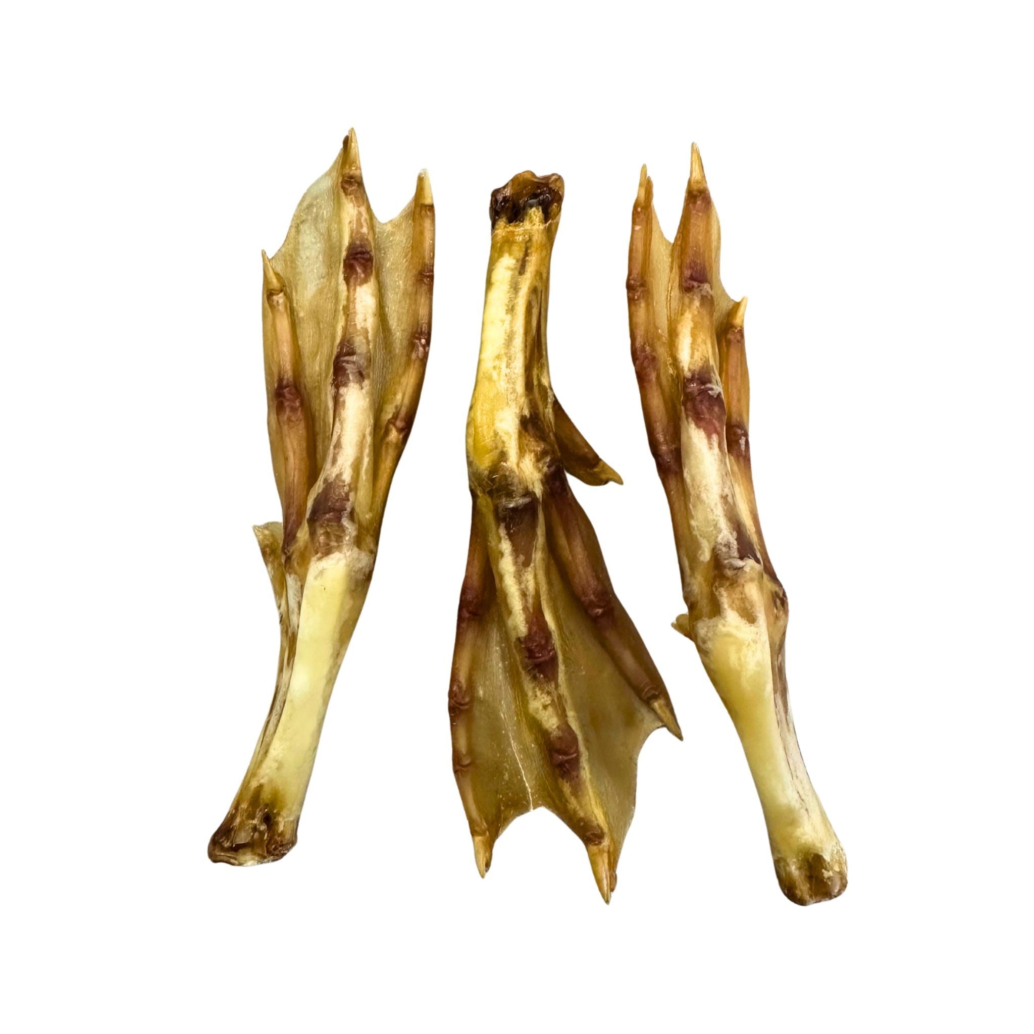 Duck Feet
