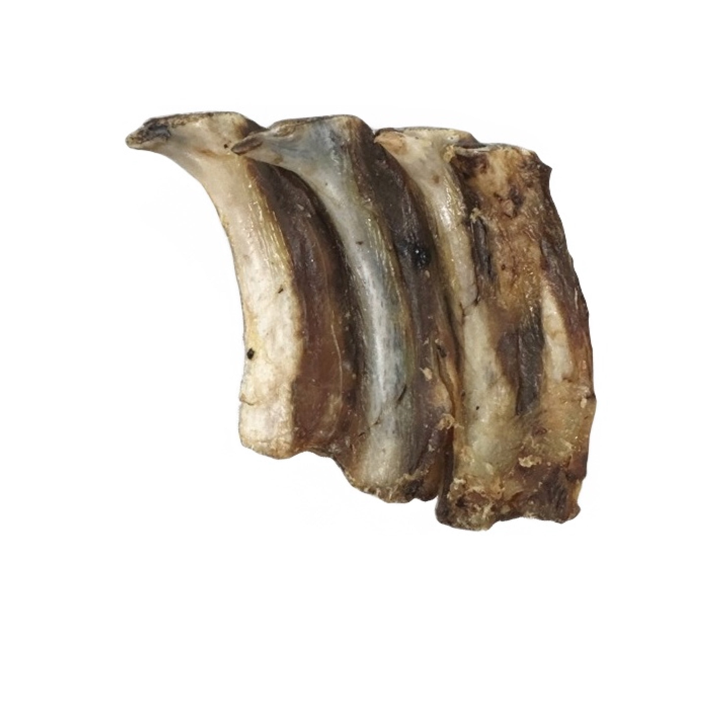Emu Rib Pieces