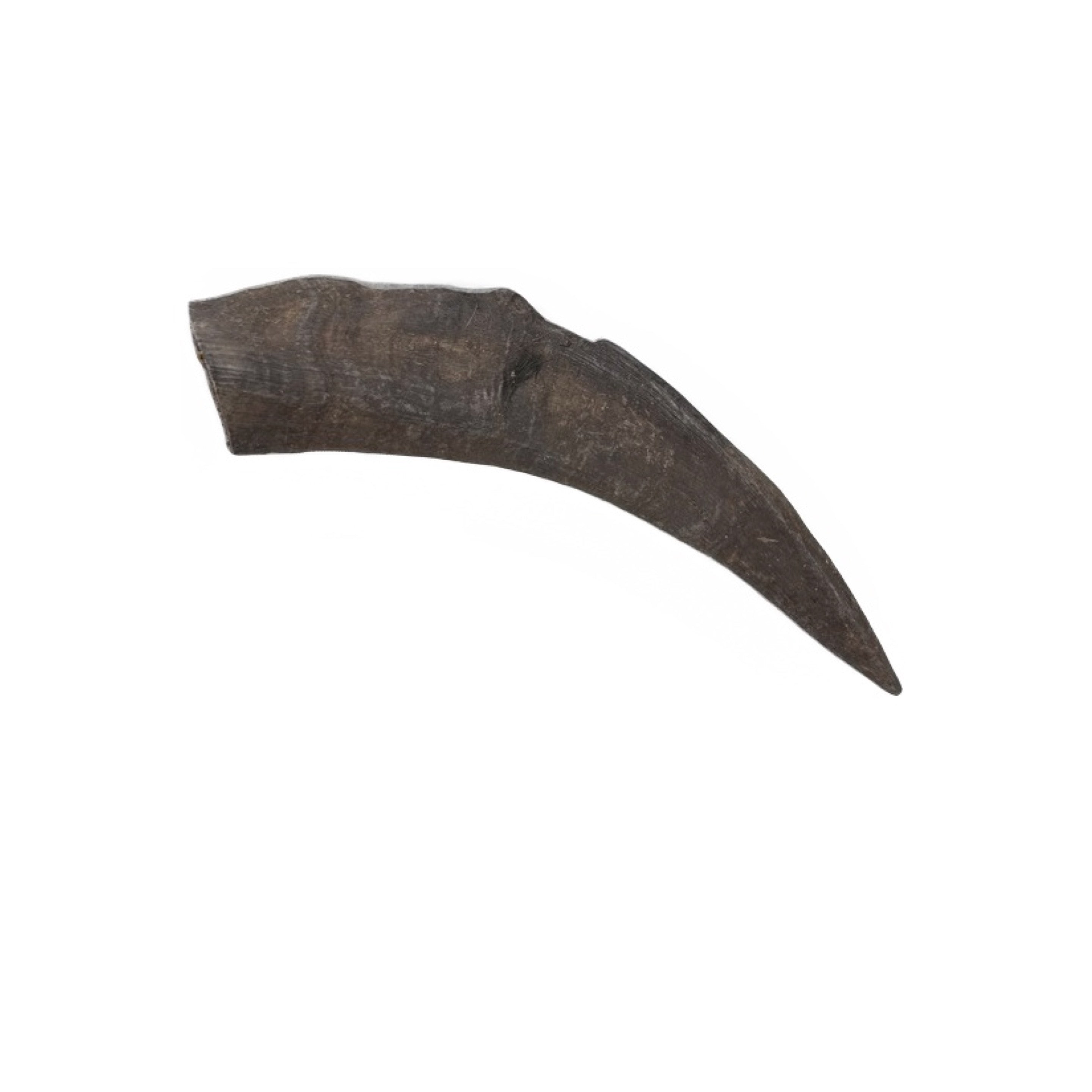 Goat Horn