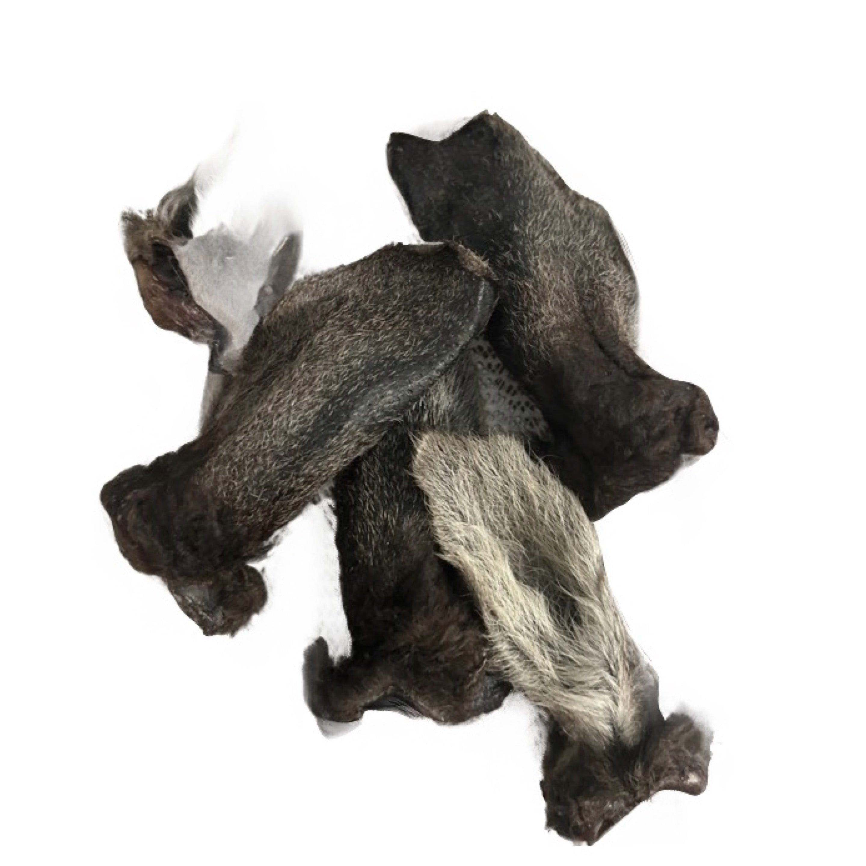 Kangaroo Ear with Fur